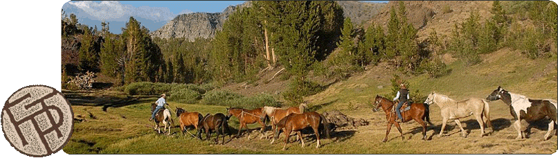 June Lake Pack Station, Frontier Pack Train, Horseback Riding