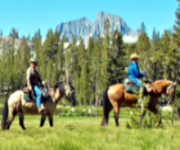 Frontier Pack Train Horseback Riding